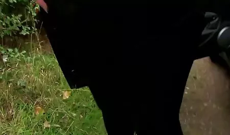 استاد بلوند به حمام فریب زد و در آنجا به او تجاوز فیلم اچ دی سکسی کرد